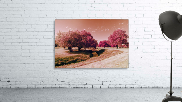 IMG_3235_2IR Wall Preview