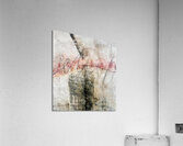 waiting for..  Acrylic Print