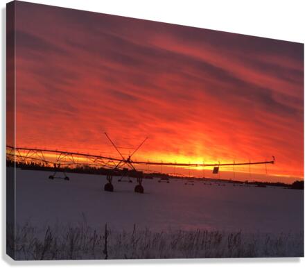 Sunrise on the farm Canvas Print