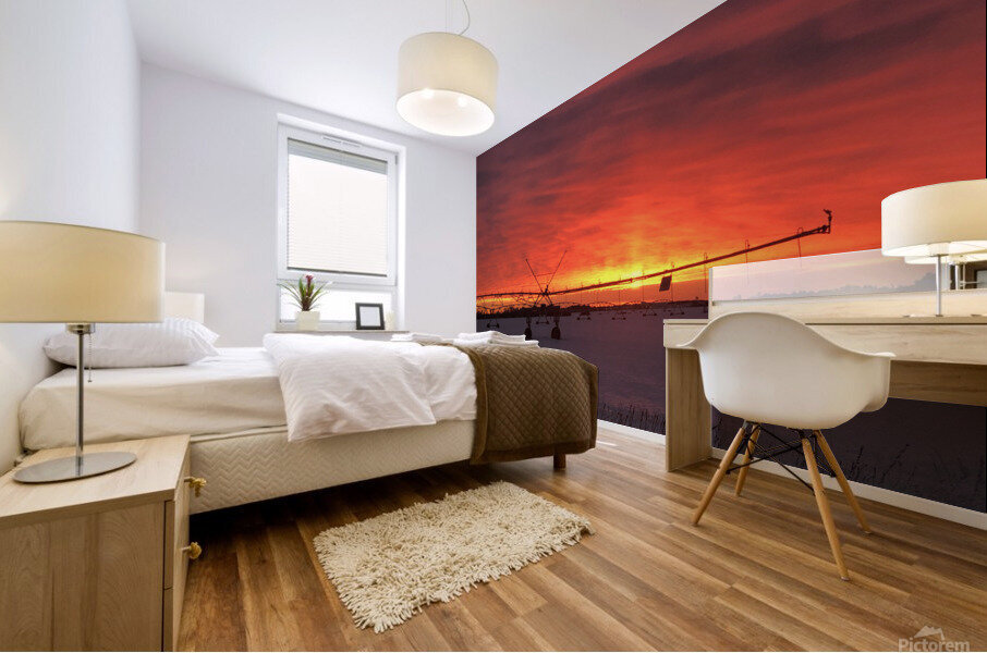 Sunrise on the farm Mural print