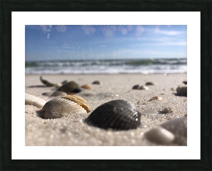 IMG 2941 Picture Frame print