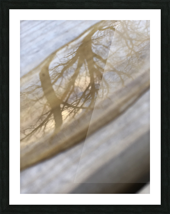 reflection in a droplet Picture Frame print