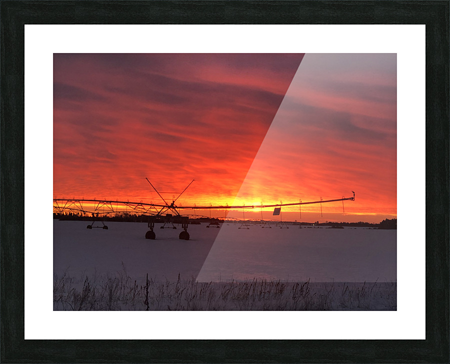 Sunrise on the farm Picture Frame print