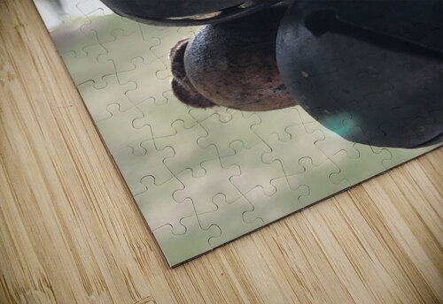 grape bells Morgan Davis puzzle