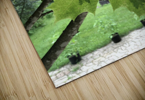 maple leaves Morgan Davis puzzle
