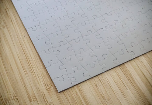 funky caterpiller Morgan Davis puzzle