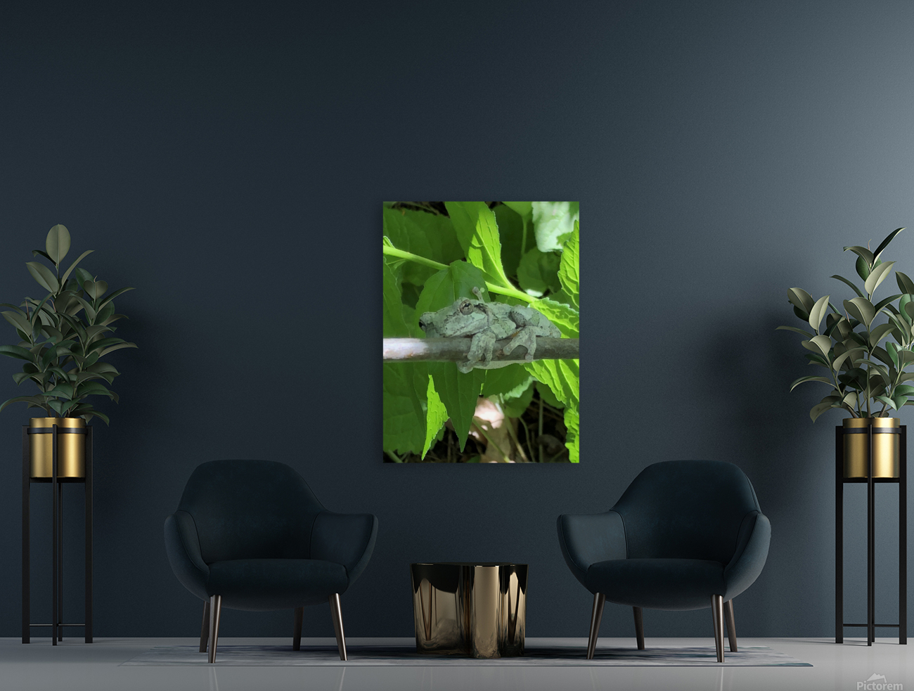 tree frog Reproduction