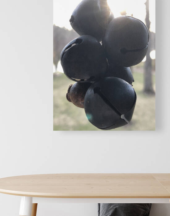 grape bells Reproduction