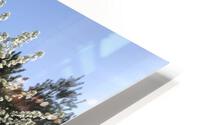 Joes Tree HD Metal print
