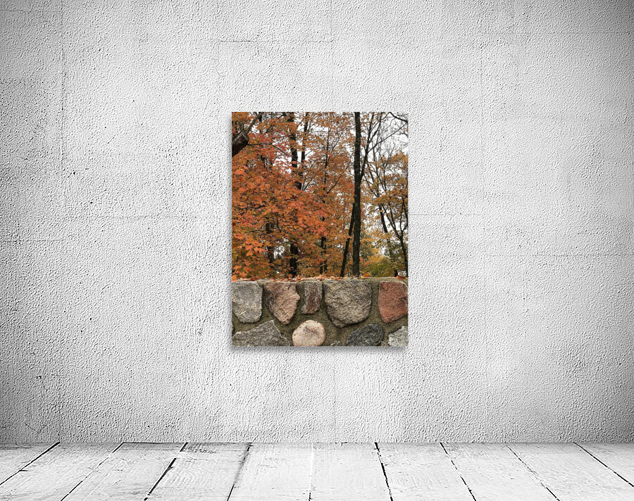 IMG 2786 Wall Preview