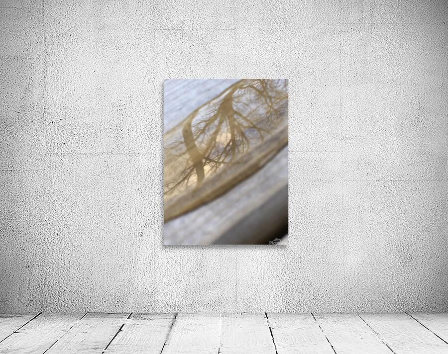 reflection in a droplet Wall Preview