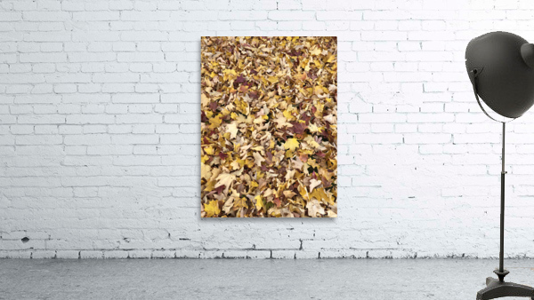 fall leaves  Wall Preview