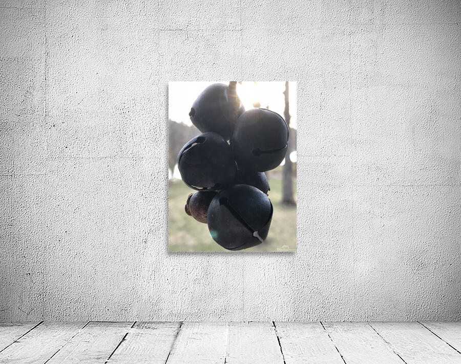 grape bells Wall Preview
