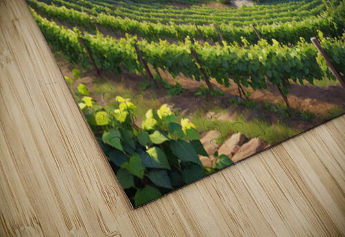 Wine Valley Artsy Inventor puzzle
