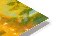 Sweet and Sunny HD Metal print