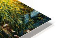 Carried by Light HD Metal print