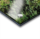 Upper Gorge At Bushkill Falls Acrylic print