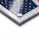 Soldier s Breath  Acrylic print