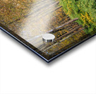 Sandburg Creek Impression Acrylique