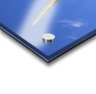 Heron Profile Acrylic print