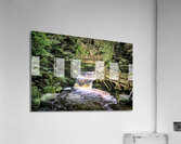 Upper Gorge At Bushkill Falls Acrylic Print