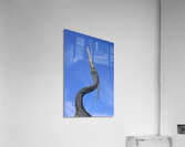 Heron Profile Acrylic Print