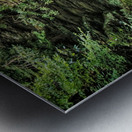 Upper Gorge At Bushkill Falls Metal print