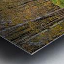 Sandburg Creek Impression metal