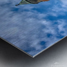 Water Tower At Robert Moses Metal print