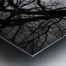 The Naked Tree Silhouette Metal print