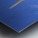 Heron Profile Metal print