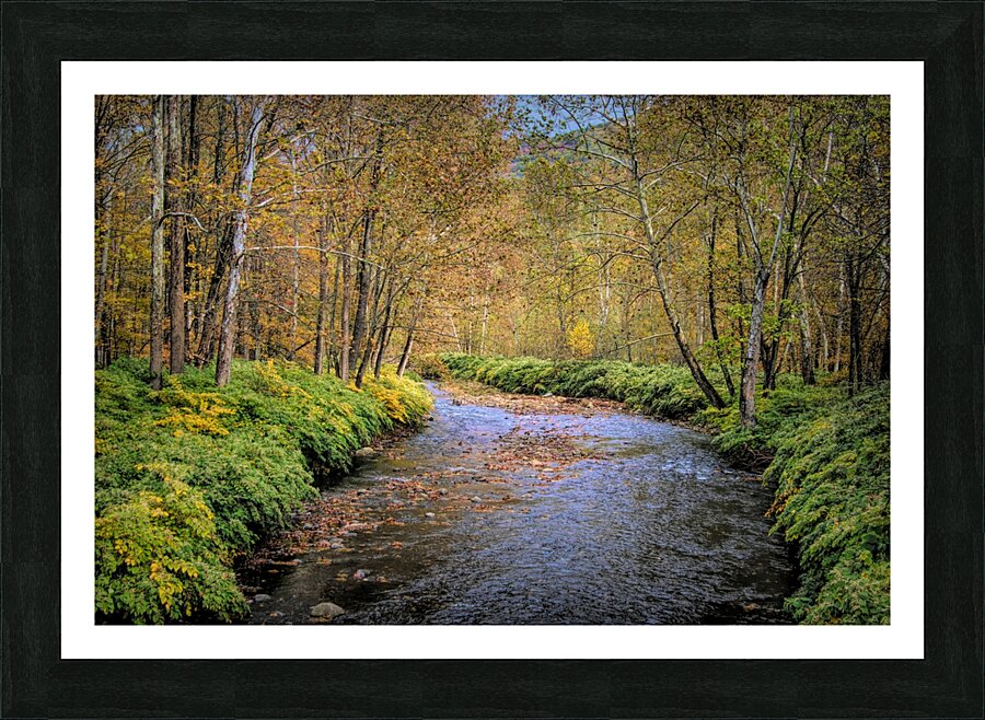 Sandburg Creek Impression et Cadre photo