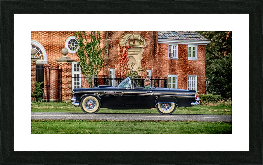 A Man And His T Bird Picture Frame print