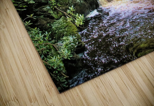 Upper Gorge At Bushkill Falls Karen Silvestri puzzle