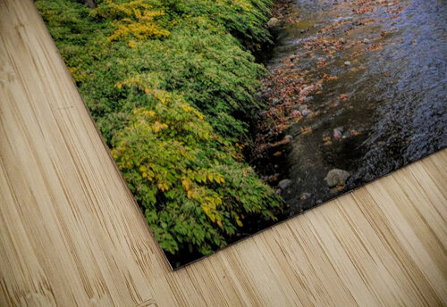 Sandburg Creek Karen Silvestri puzzle