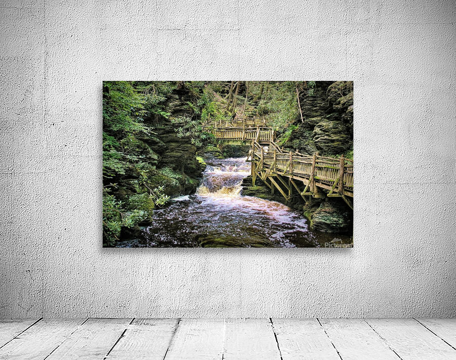 Upper Gorge At Bushkill Falls Wall Preview