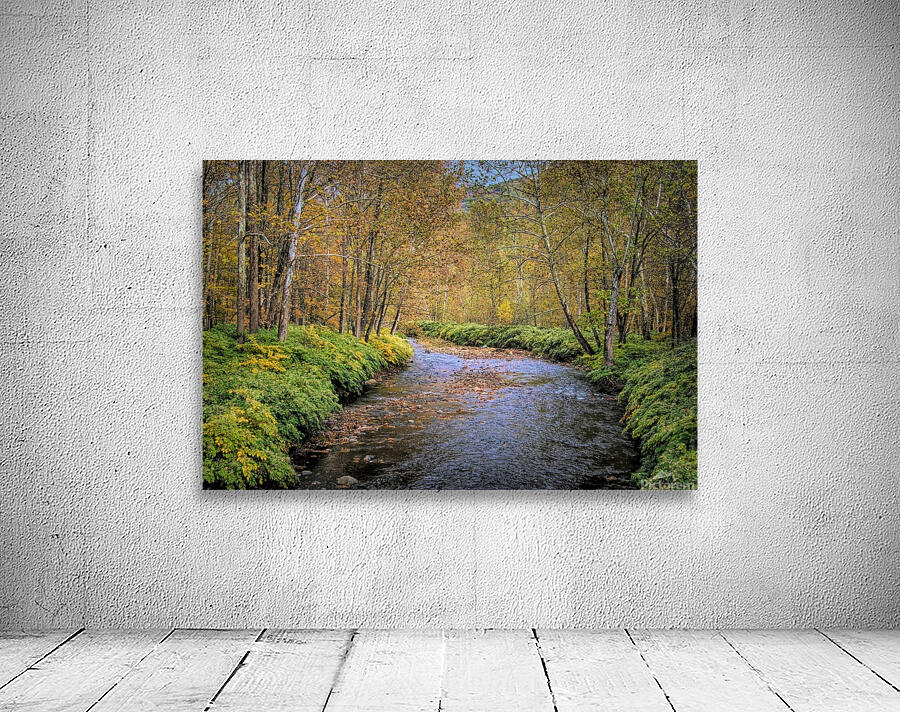 Sandburg Creek Wall Preview