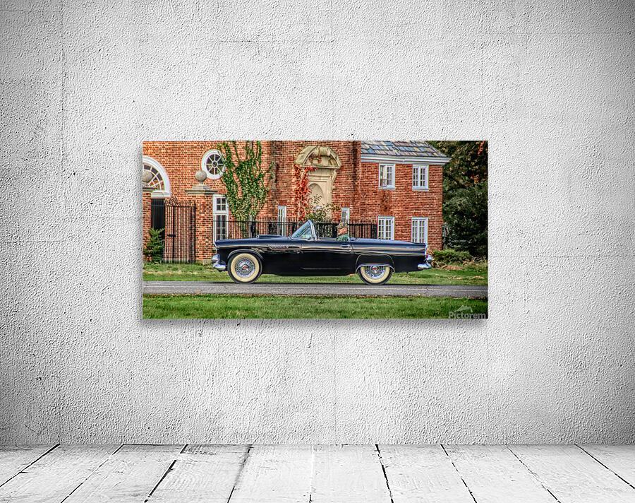 A Man And His T Bird Wall Preview