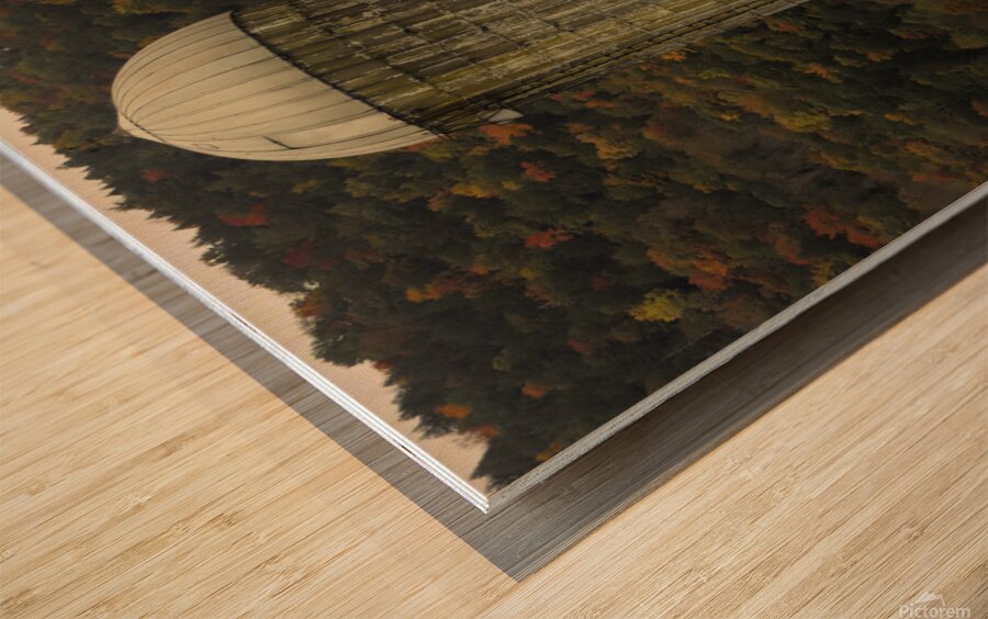 Silo With Autumn Foliage Wood print