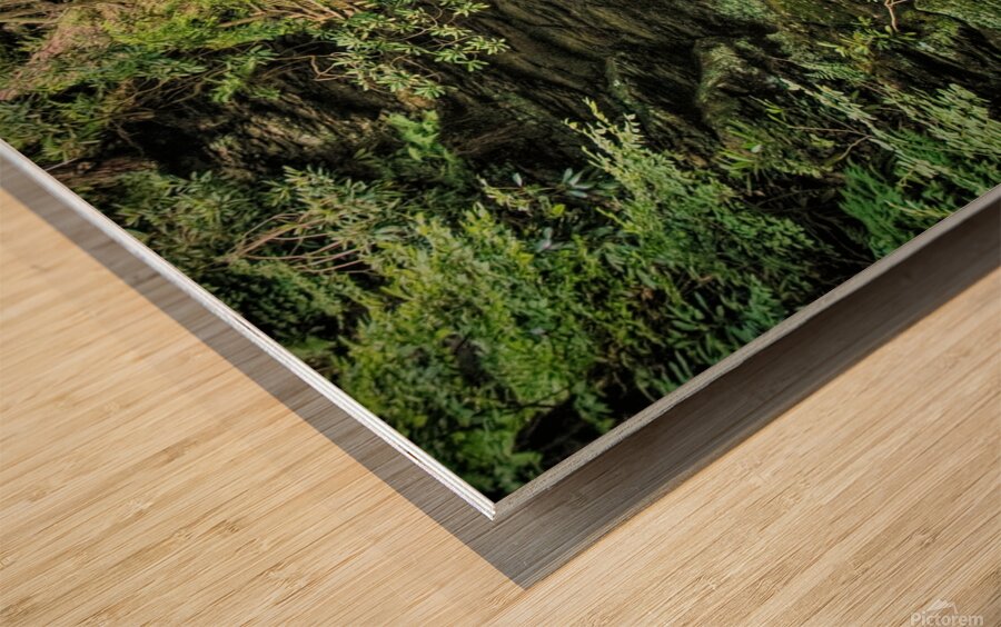 Upper Gorge At Bushkill Falls Wood print