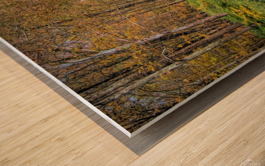 Sandburg Creek Impression sur bois