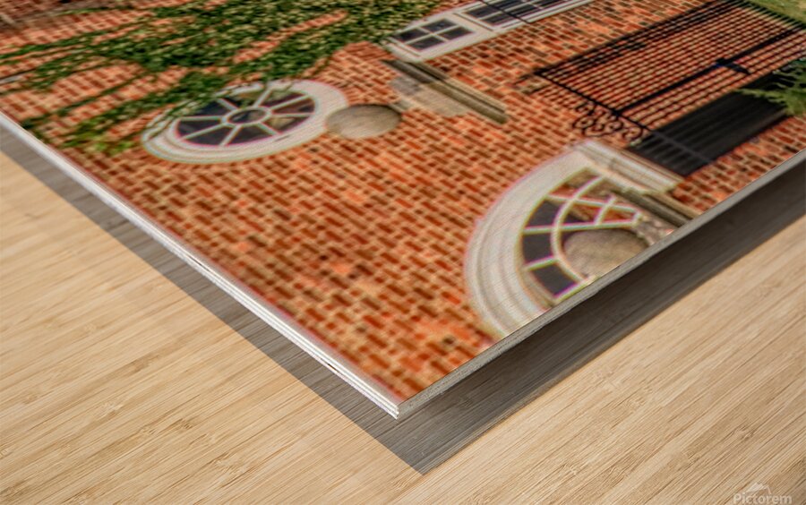 A Man And His T Bird Wood print