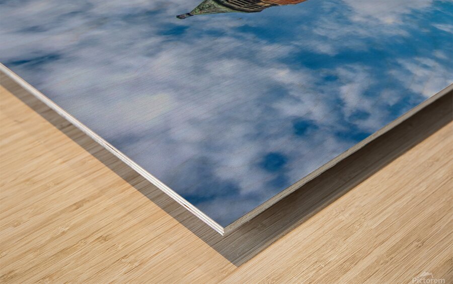 Water Tower At Robert Moses Wood print