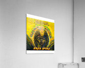 Santana 19 Acrylic Print