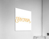 Santana 21 Acrylic Print
