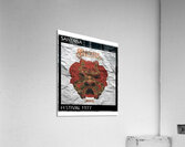 Santana 22 Acrylic Print