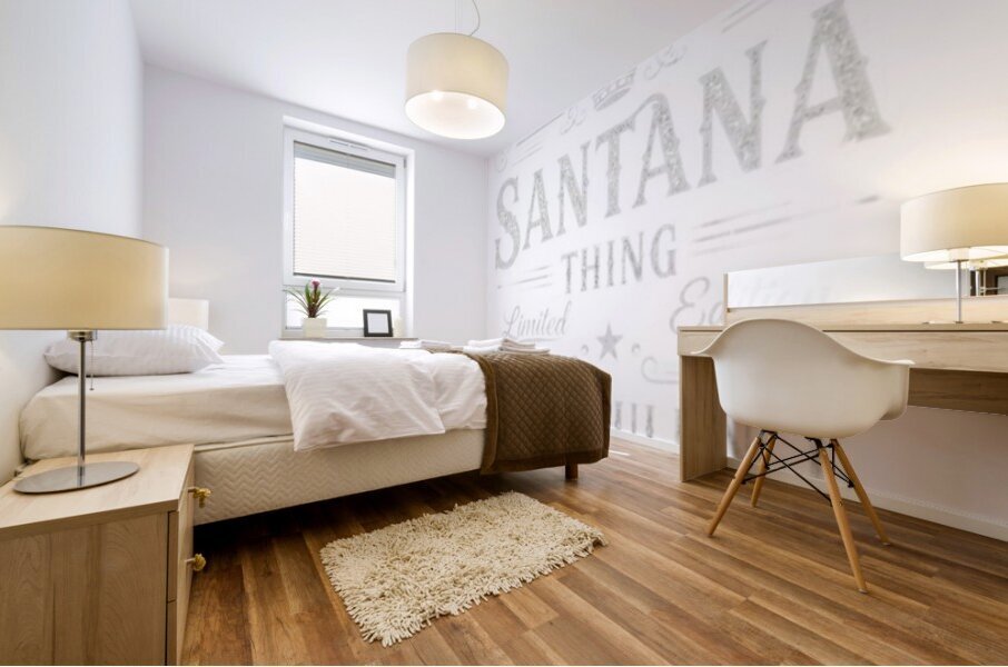 Santana 10 Mural print