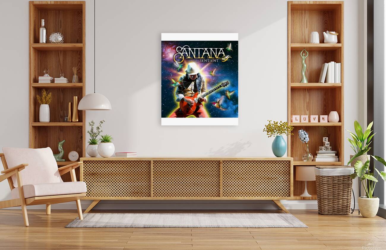 Santana 28 Reproduction