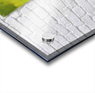 Blue tit bird portrait acrylic painting  Acrylic print