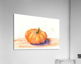 Orange pumpkin watercolor study Acrylic Print